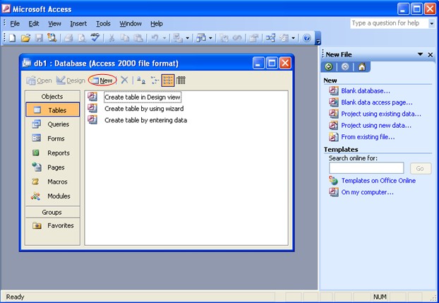 Microsoft Access 2003   img-1